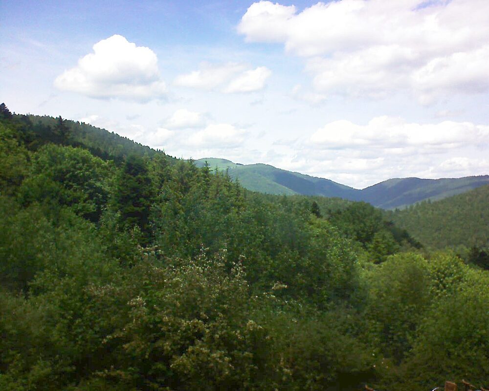 Le petit ballon vu depuis le Domaine Langmatt à Murbach le 10.06.2024 à 14:15 Le petit ballon (Alsace, Vosges) le 10.06.2024 à 14:15