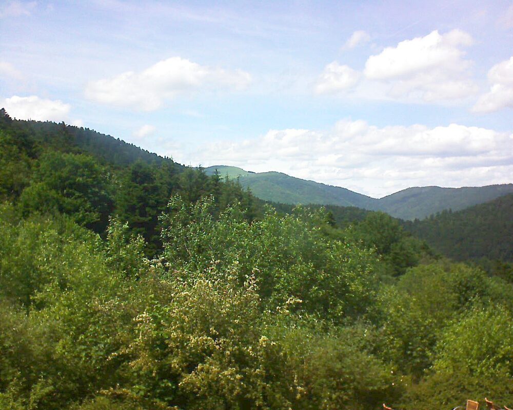 Le petit ballon (Alsace, Vosges) le 10.06.2024 à 15:00