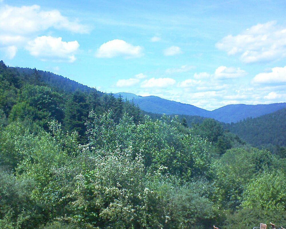 Le petit ballon vu depuis le Domaine Langmatt à Murbach le 10.06.2024 à 15:15 Le petit ballon (Alsace, Vosges) le 10.06.2024 à 15:15