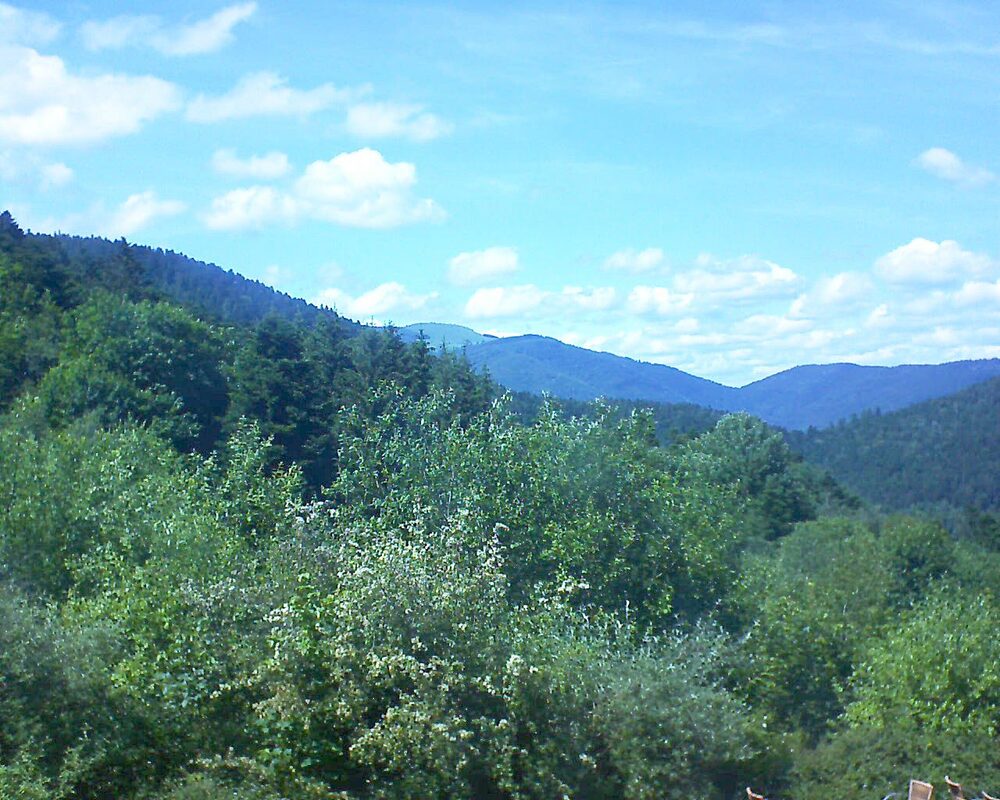 Le petit ballon vu depuis le Domaine Langmatt à Murbach le 10.06.2024 à 15:30 Le petit ballon (Alsace, Vosges) le 10.06.2024 à 15:30