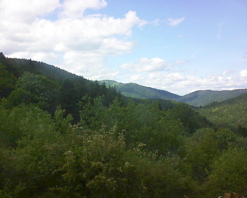 Le petit ballon (Alsace, Vosges) le 10.06.2024 à 16:15