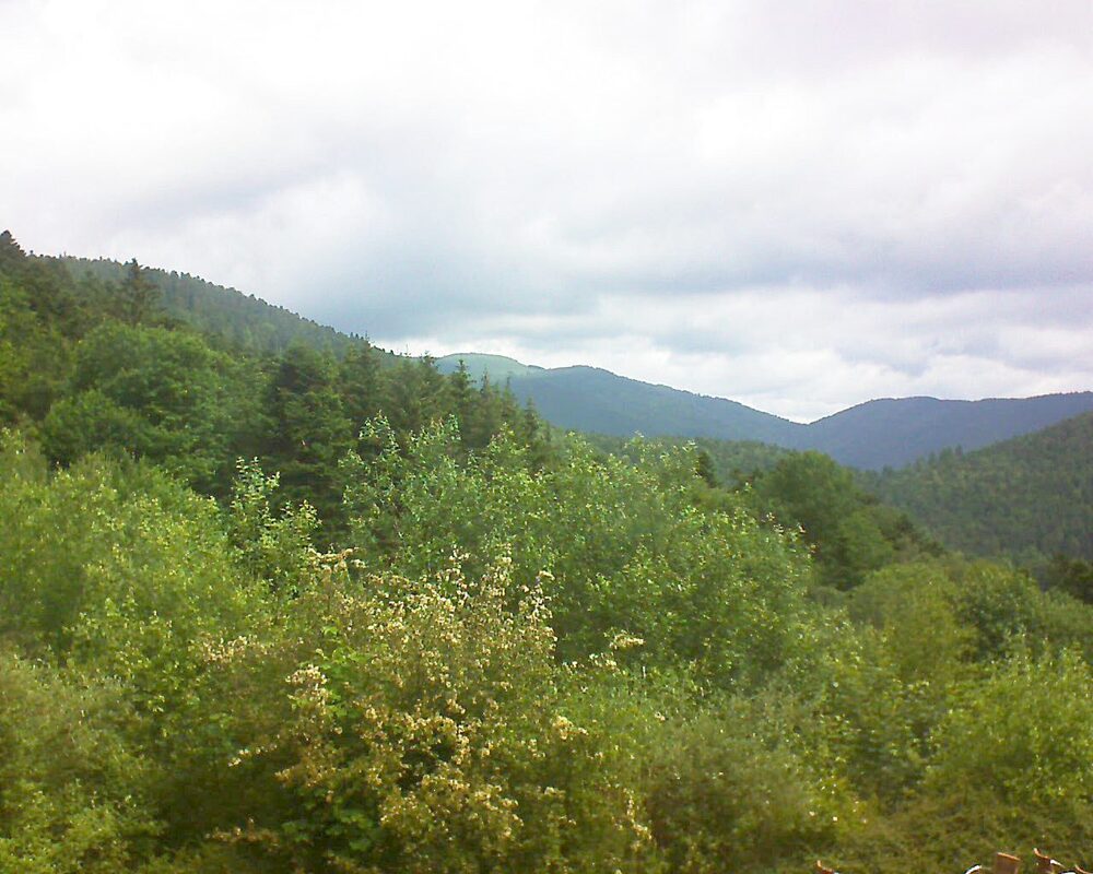 Le petit ballon vu depuis le Domaine Langmatt à Murbach le 11.06.2024 à 11:00 Le petit ballon (Alsace, Vosges) le 11.06.2024 à 11:00