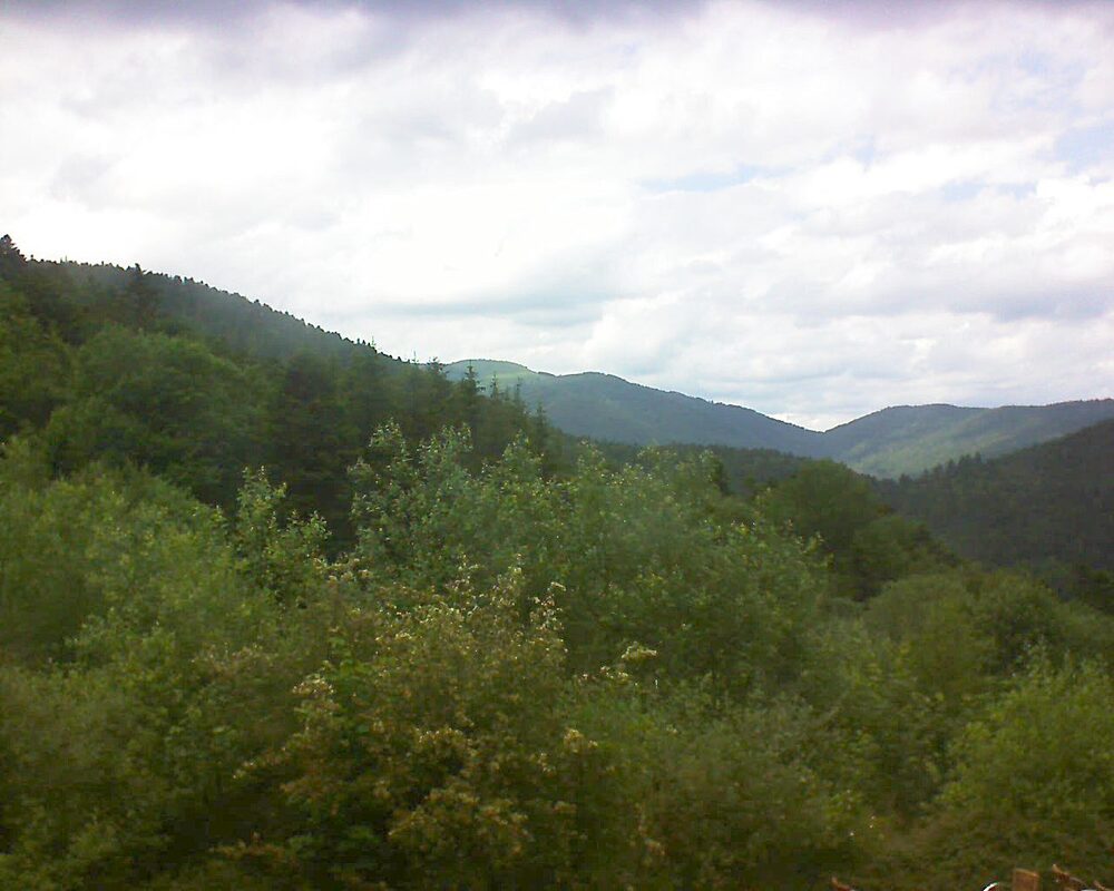 Le petit ballon vu depuis le Domaine Langmatt à Murbach le 11.06.2024 à 15:15 Le petit ballon (Alsace, Vosges) le 11.06.2024 à 15:15