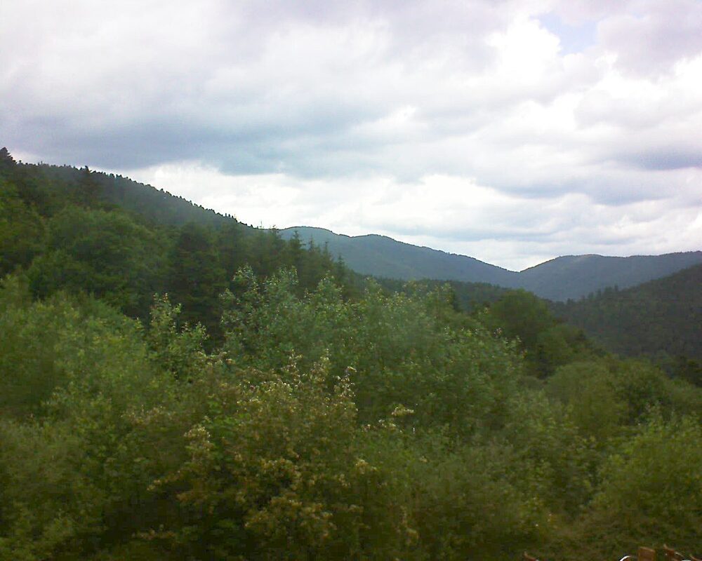 Le petit ballon vu depuis le Domaine Langmatt à Murbach le 11.06.2024 à 15:30 Le petit ballon (Alsace, Vosges) le 11.06.2024 à 15:30