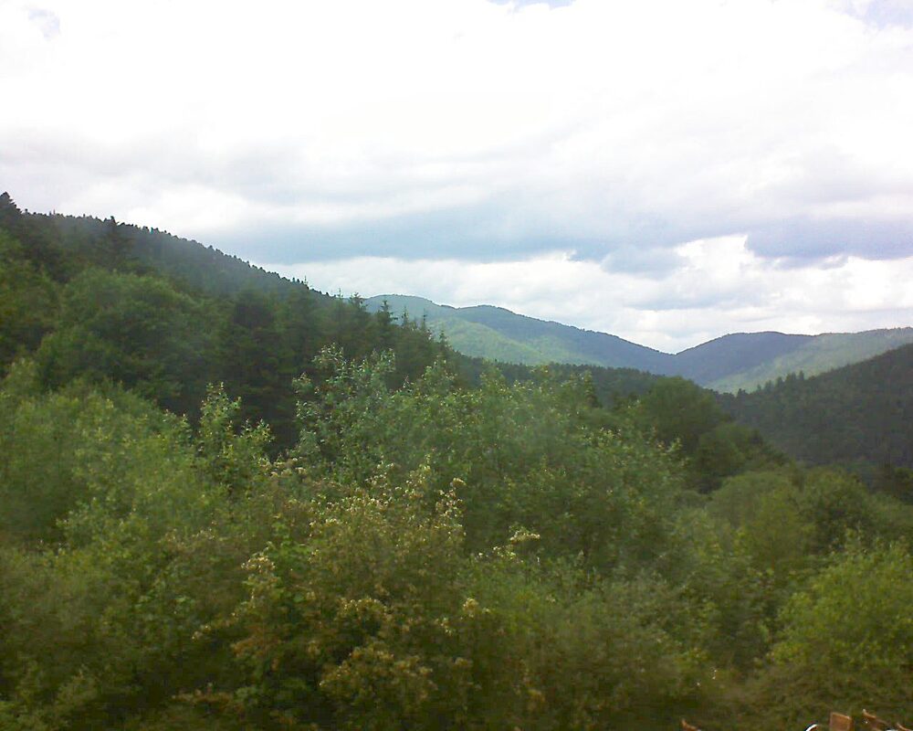 Le petit ballon vu depuis le Domaine Langmatt à Murbach le 11.06.2024 à 16:30 Le petit ballon (Alsace, Vosges) le 11.06.2024 à 16:30