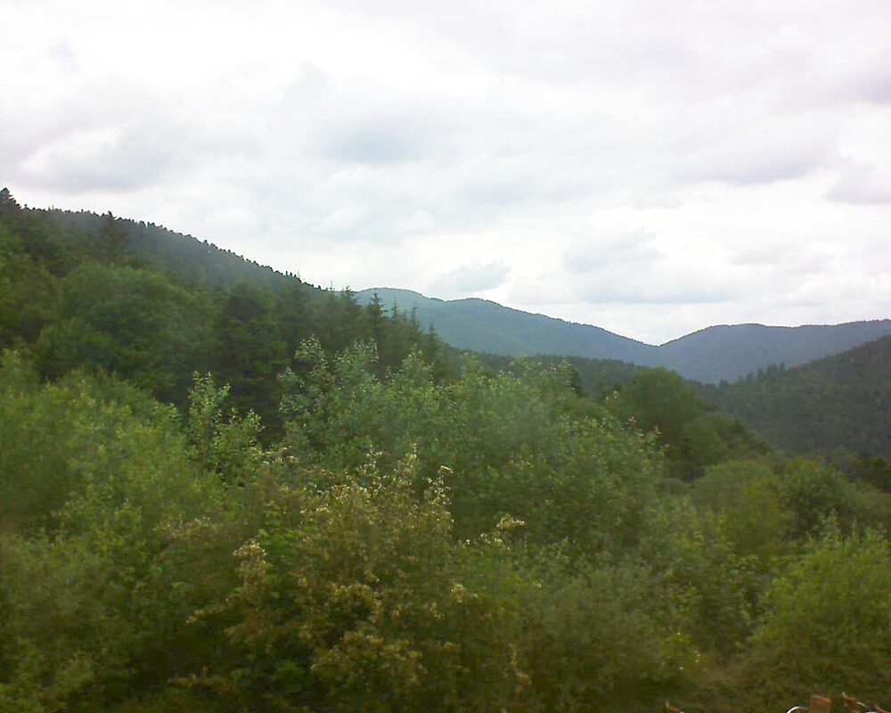 Le petit ballon (Alsace, Vosges) le 12.06.2024 à 13:00