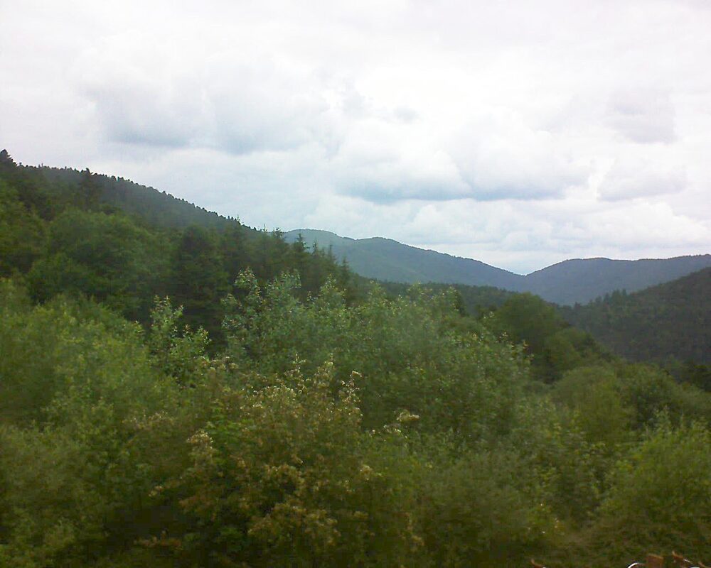 Le petit ballon vu depuis le Domaine Langmatt à Murbach le 12.06.2024 à 14:30 Le petit ballon (Alsace, Vosges) le 12.06.2024 à 14:30