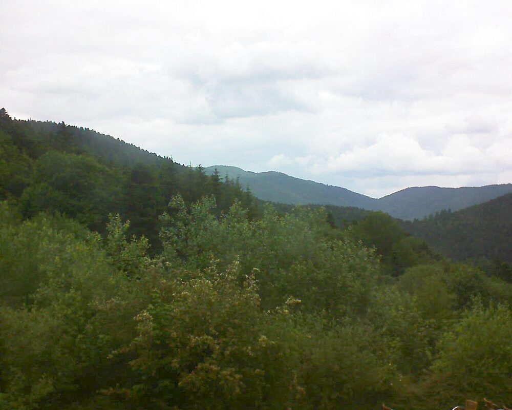 Le petit ballon (Alsace, Vosges) le 12.06.2024 à 15:00