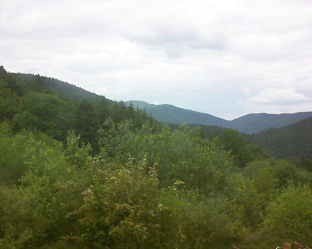 Le petit ballon vu depuis le Domaine Langmatt à Murbach le 12.06.2024 à 15:15 Le petit ballon (Alsace, Vosges) le 12.06.2024 à 15:15