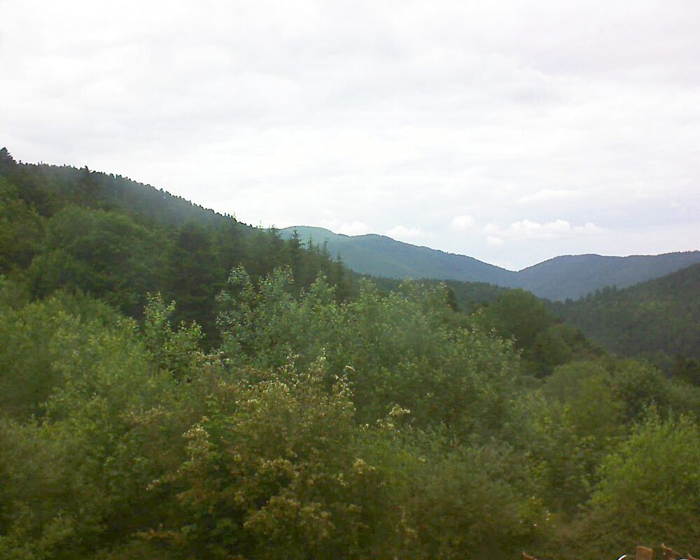 Le petit ballon vu depuis le Domaine Langmatt à Murbach le 12.06.2024 à 15:45 Le petit ballon (Alsace, Vosges) le 12.06.2024 à 15:45