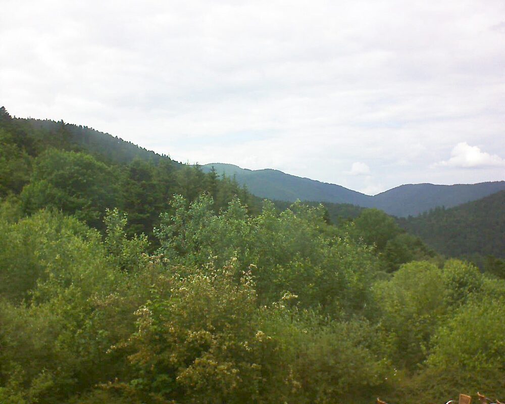 Le petit ballon vu depuis le Domaine Langmatt à Murbach le 12.06.2024 à 16:00 Le petit ballon (Alsace, Vosges) le 12.06.2024 à 16:00
