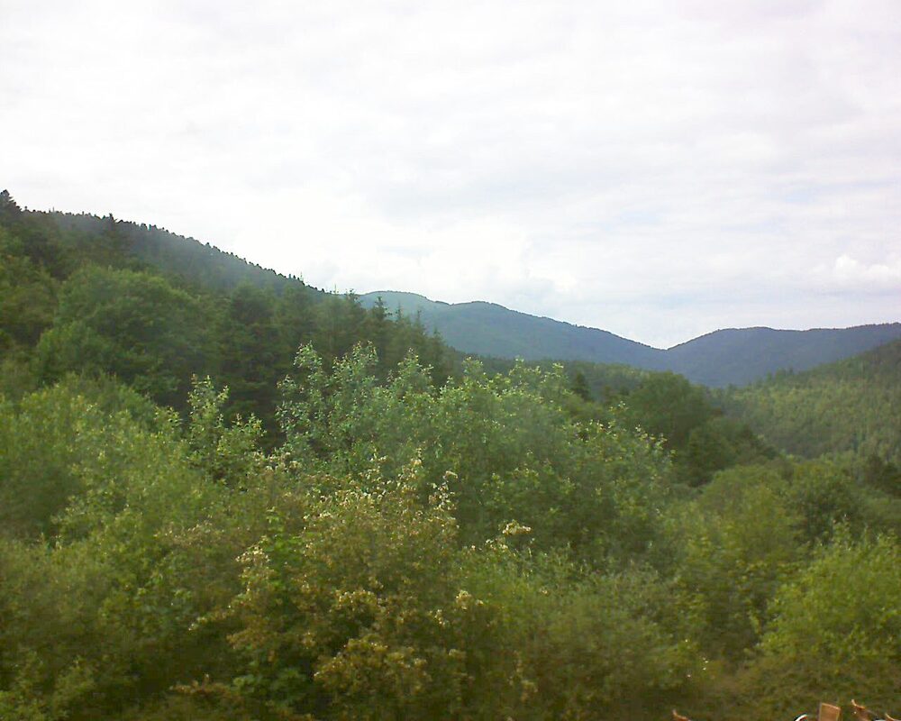 Le petit ballon vu depuis le Domaine Langmatt à Murbach le 12.06.2024 à 16:15 Le petit ballon (Alsace, Vosges) le 12.06.2024 à 16:15