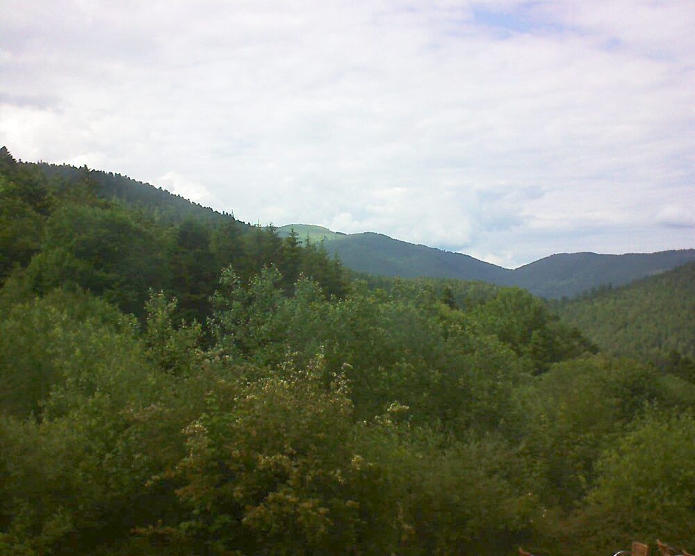 Le petit ballon (Alsace, Vosges) le 12.06.2024 à 16:30