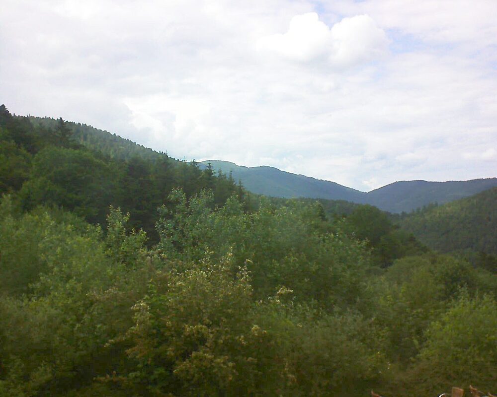 Le petit ballon vu depuis le Domaine Langmatt à Murbach le 12.06.2024 à 16:45 Le petit ballon (Alsace, Vosges) le 12.06.2024 à 16:45