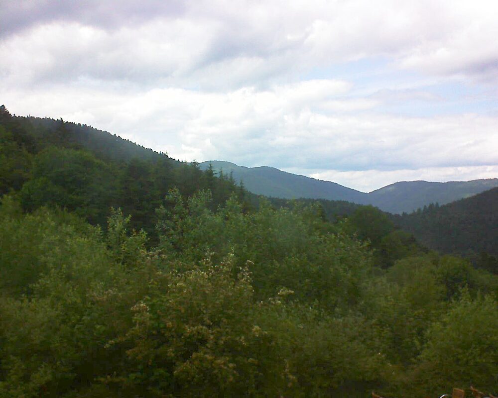 Le petit ballon vu depuis le Domaine Langmatt à Murbach le 13.06.2024 à 14:30 Le petit ballon (Alsace, Vosges) le 13.06.2024 à 14:30