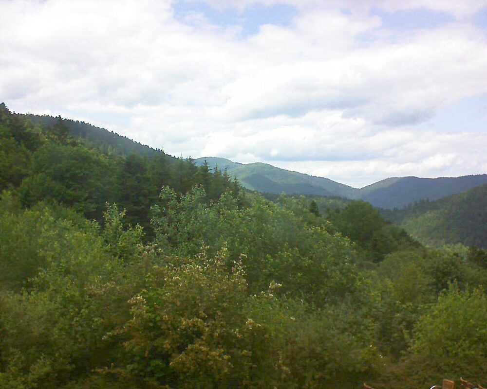 Le petit ballon vu depuis le Domaine Langmatt à Murbach le 13.06.2024 à 15:15 Le petit ballon (Alsace, Vosges) le 13.06.2024 à 15:15