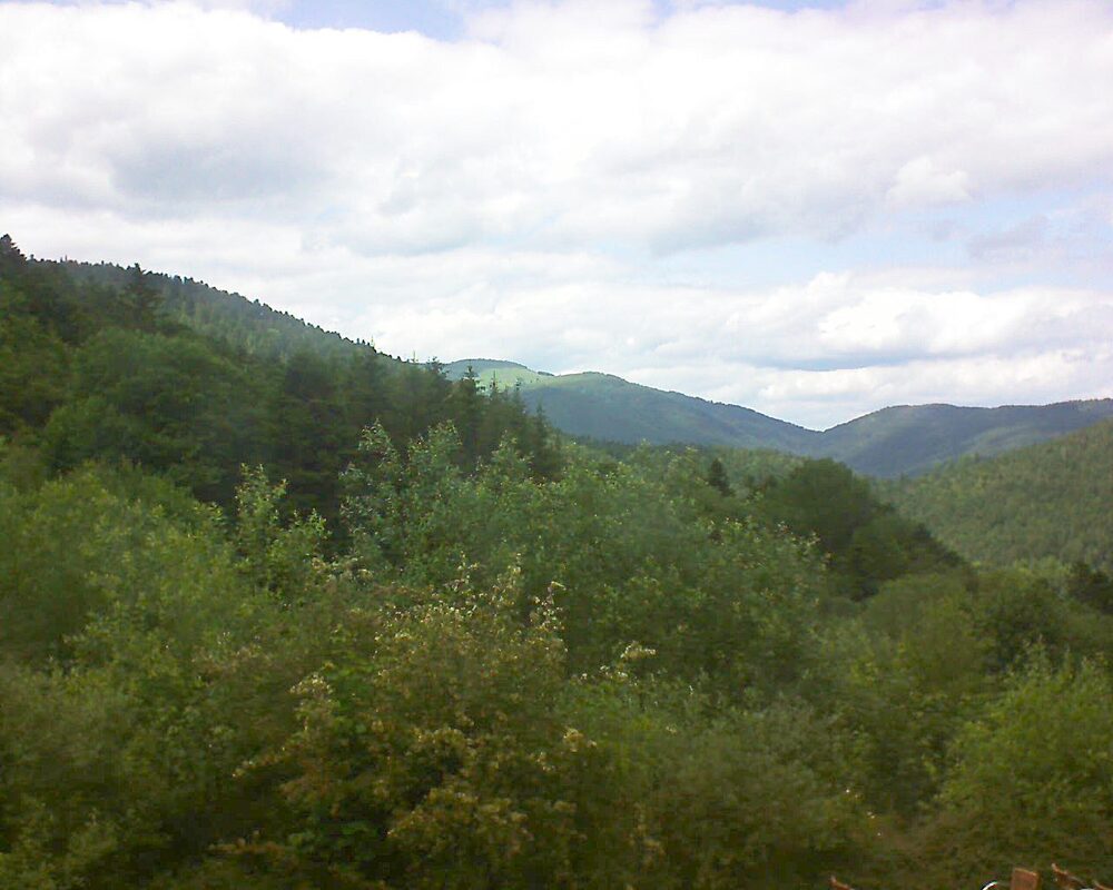 Le petit ballon vu depuis le Domaine Langmatt à Murbach le 13.06.2024 à 15:30 Le petit ballon (Alsace, Vosges) le 13.06.2024 à 15:30