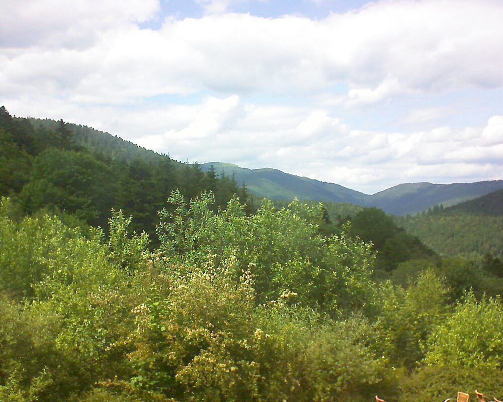 Le petit ballon vu depuis le Domaine Langmatt à Murbach le 13.06.2024 à 15:45 Le petit ballon (Alsace, Vosges) le 13.06.2024 à 15:45