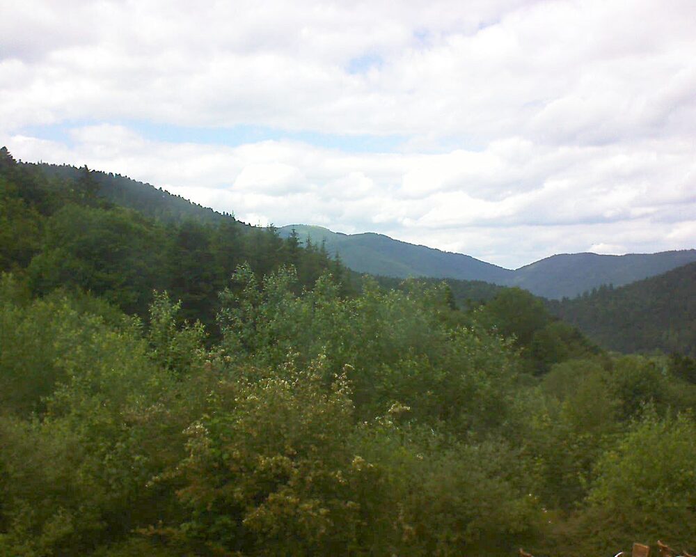 Le petit ballon vu depuis le Domaine Langmatt à Murbach le 13.06.2024 à 16:00 Le petit ballon (Alsace, Vosges) le 13.06.2024 à 16:00