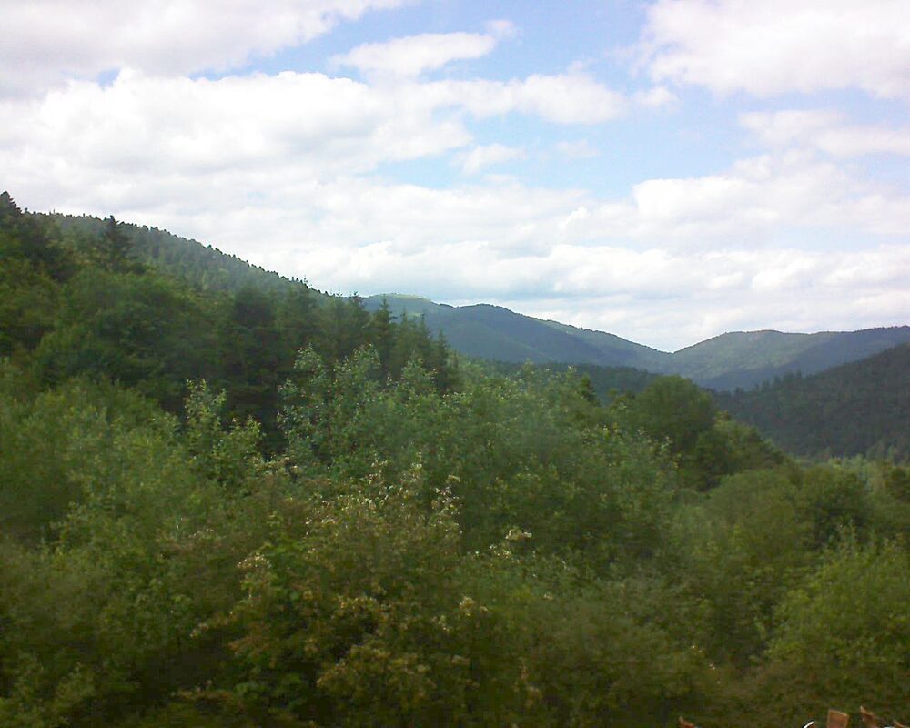 Le petit ballon vu depuis le Domaine Langmatt à Murbach le 13.06.2024 à 16:15 Le petit ballon (Alsace, Vosges) le 13.06.2024 à 16:15