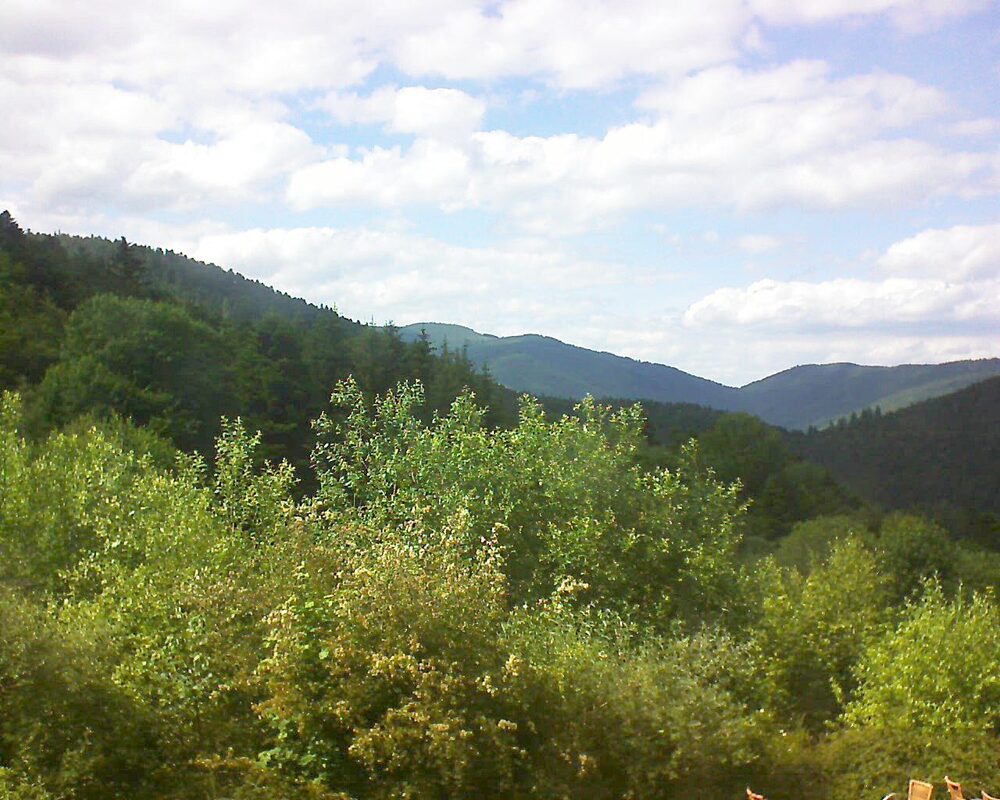 Le petit ballon vu depuis le Domaine Langmatt à Murbach le 13.06.2024 à 16:45 Le petit ballon (Alsace, Vosges) le 13.06.2024 à 16:45