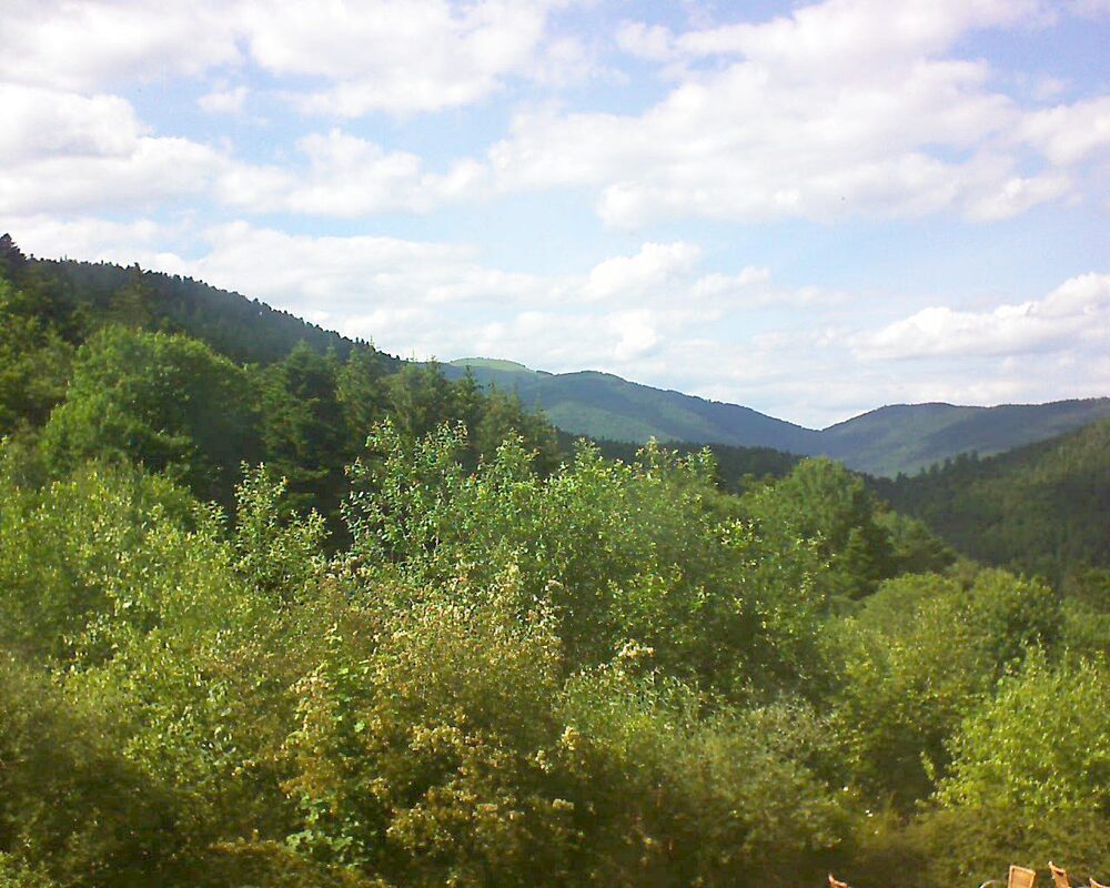 Le petit ballon vu depuis le Domaine Langmatt à Murbach le 13.06.2024 à 17:00 Le petit ballon (Alsace, Vosges) le 13.06.2024 à 17:00