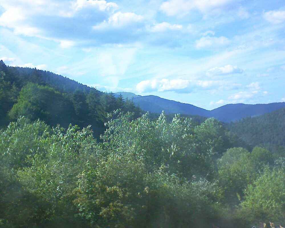 Le petit ballon (Alsace, Vosges) le 13.06.2024 à 18:15