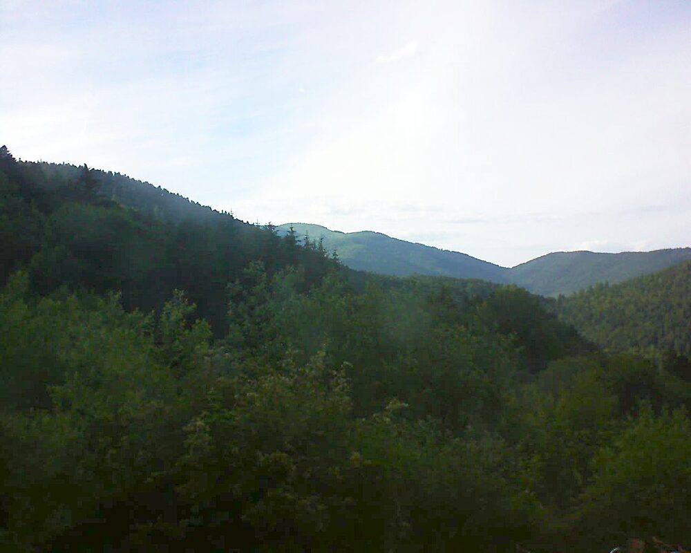 Le petit ballon vu depuis le Domaine Langmatt à Murbach le 13.06.2024 à 19:15 Le petit ballon (Alsace, Vosges) le 13.06.2024 à 19:15