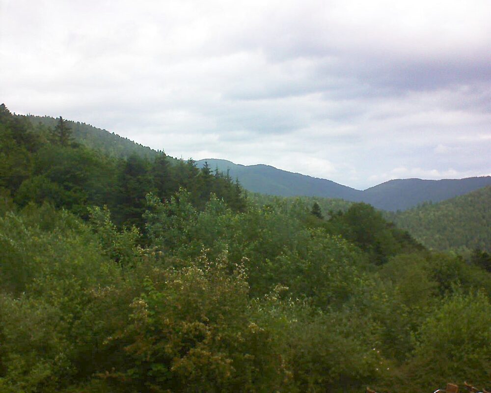Le petit ballon vu depuis le Domaine Langmatt à Murbach le 14.06.2024 à 12:15 Le petit ballon (Alsace, Vosges) le 14.06.2024 à 12:15