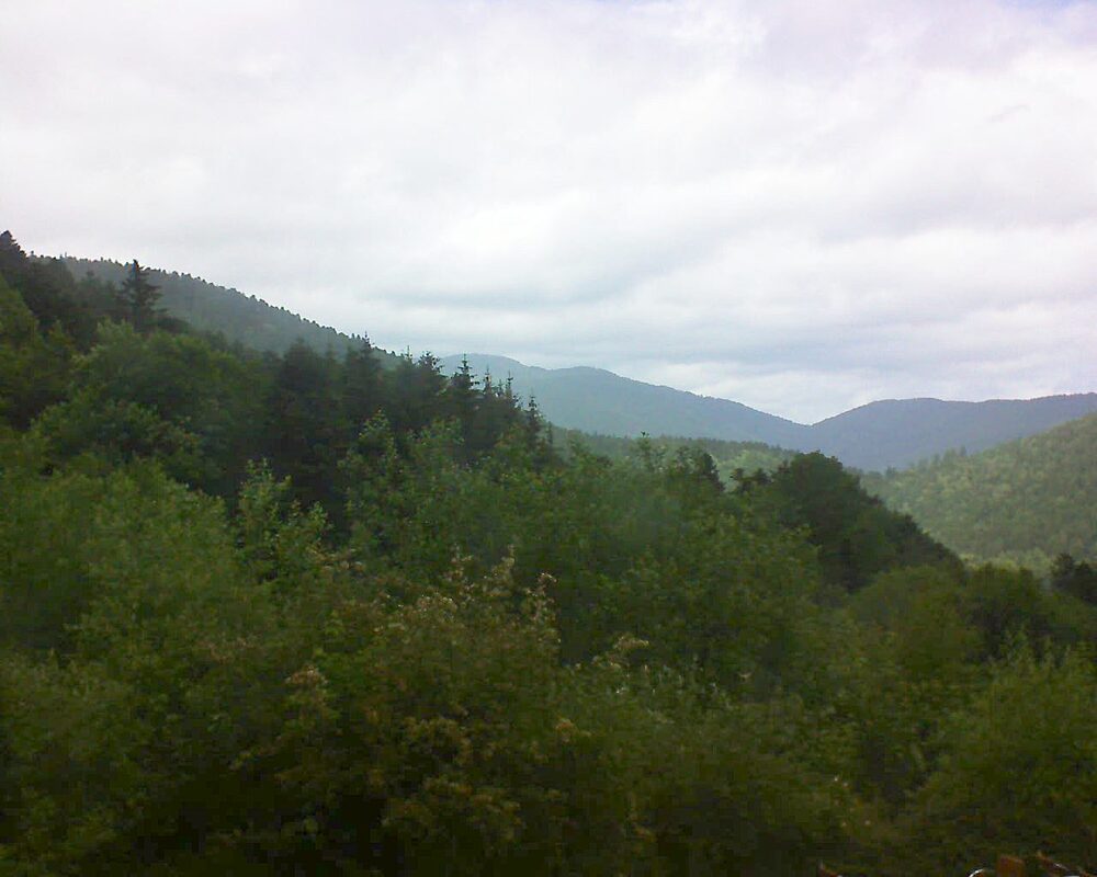 Le petit ballon vu depuis le Domaine Langmatt à Murbach le 14.06.2024 à 14:00 Le petit ballon (Alsace, Vosges) le 14.06.2024 à 14:00