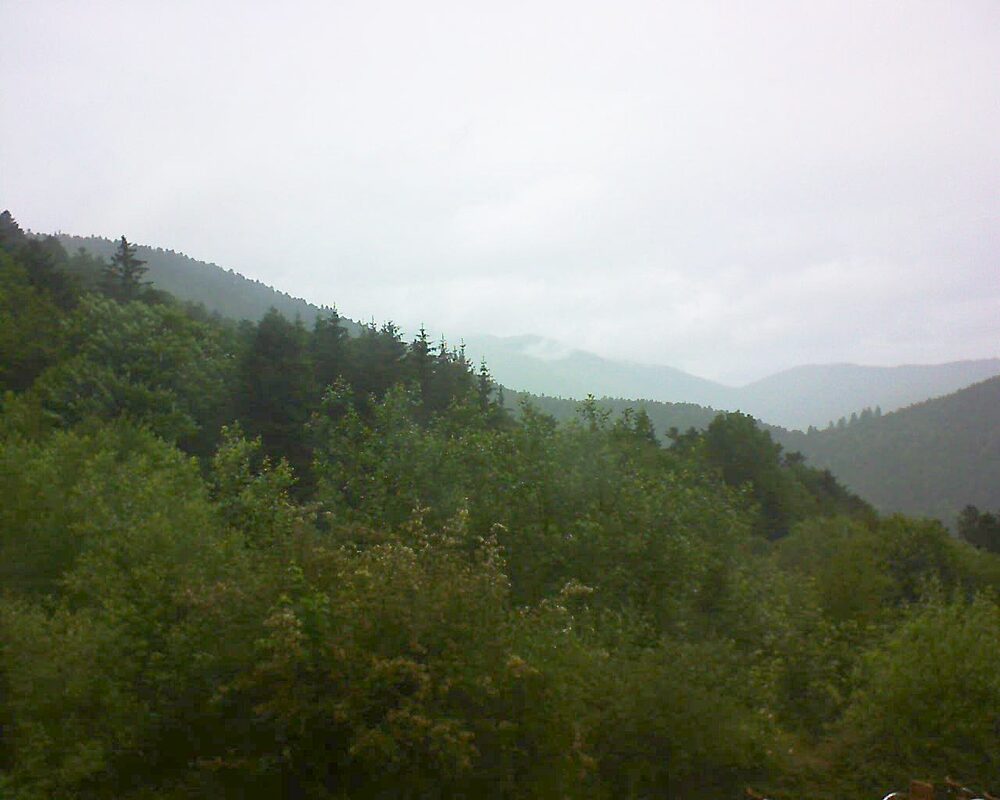 Le petit ballon vu depuis le Domaine Langmatt à Murbach le 14.06.2024 à 15:15 Le petit ballon (Alsace, Vosges) le 14.06.2024 à 15:15