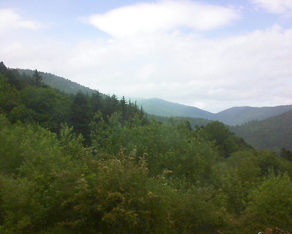 Le petit ballon vu depuis le Domaine Langmatt à Murbach le 14.06.2024 à 15:45 Le petit ballon (Alsace, Vosges) le 14.06.2024 à 15:45