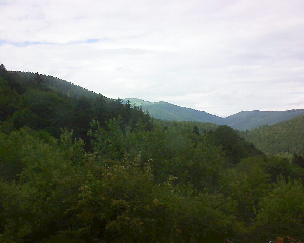 Le petit ballon vu depuis le Domaine Langmatt à Murbach le 14.06.2024 à 16:30 Le petit ballon (Alsace, Vosges) le 14.06.2024 à 16:30