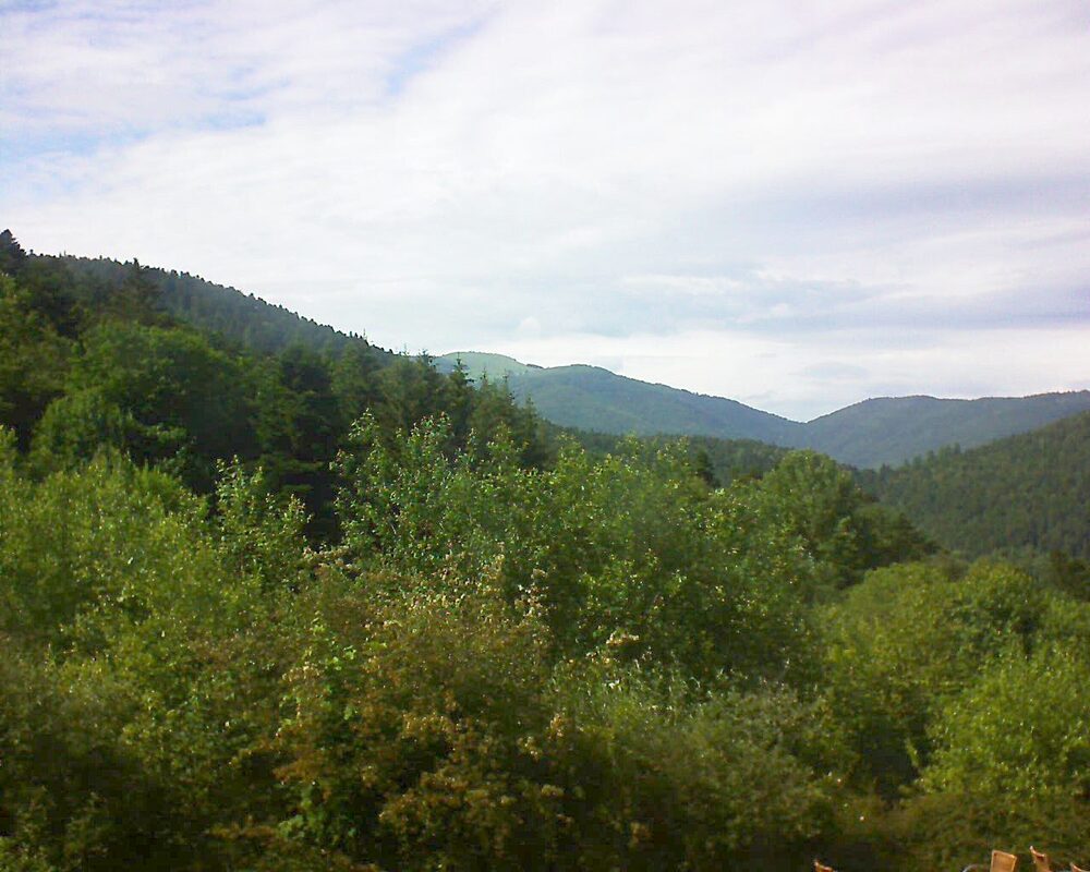 Le petit ballon vu depuis le Domaine Langmatt à Murbach le 14.06.2024 à 16:45 Le petit ballon (Alsace, Vosges) le 14.06.2024 à 16:45