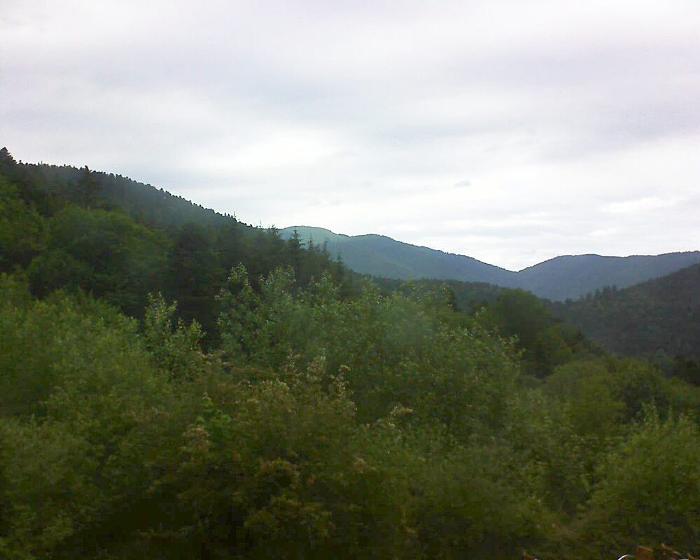 Le petit ballon vu depuis le Domaine Langmatt à Murbach le 14.06.2024 à 17:30 Le petit ballon (Alsace, Vosges) le 14.06.2024 à 17:30