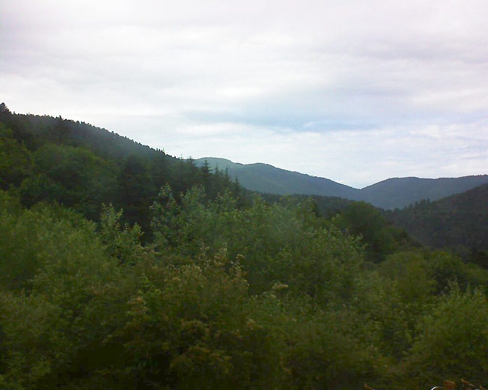 Le petit ballon (Alsace, Vosges) le 14.06.2024 à 18:15