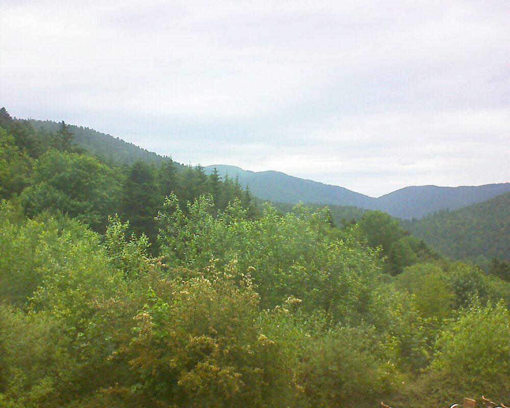 Le petit ballon (Alsace, Vosges) le 14.06.2024 à 20:15