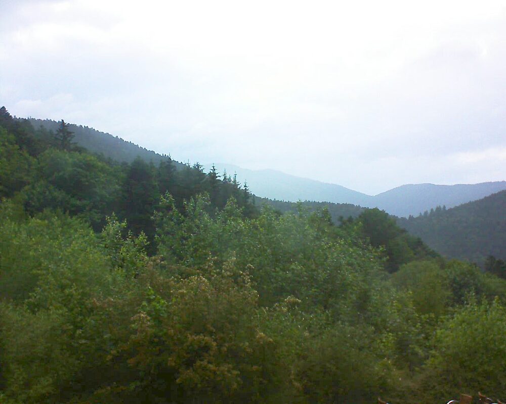 Le petit ballon (Alsace, Vosges) le 14.06.2024 à 21:00