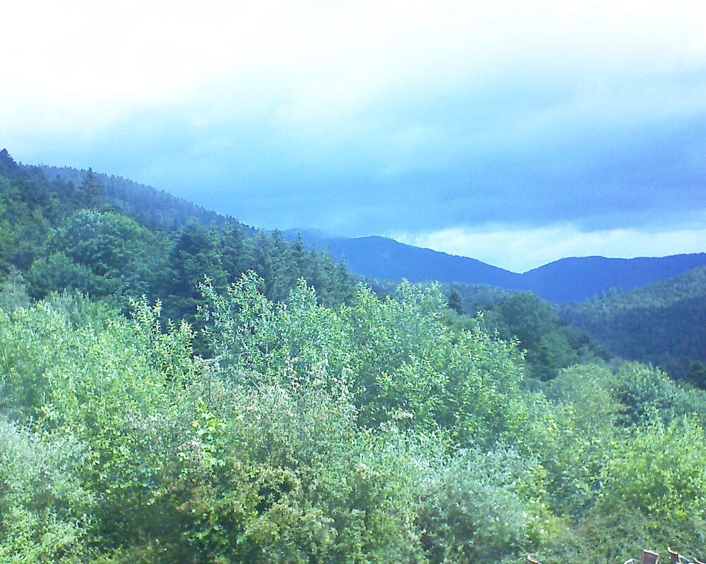 Le petit ballon vu depuis le Domaine Langmatt à Murbach le 15.06.2024 à 11:15 Le petit ballon (Alsace, Vosges) le 15.06.2024 à 11:15
