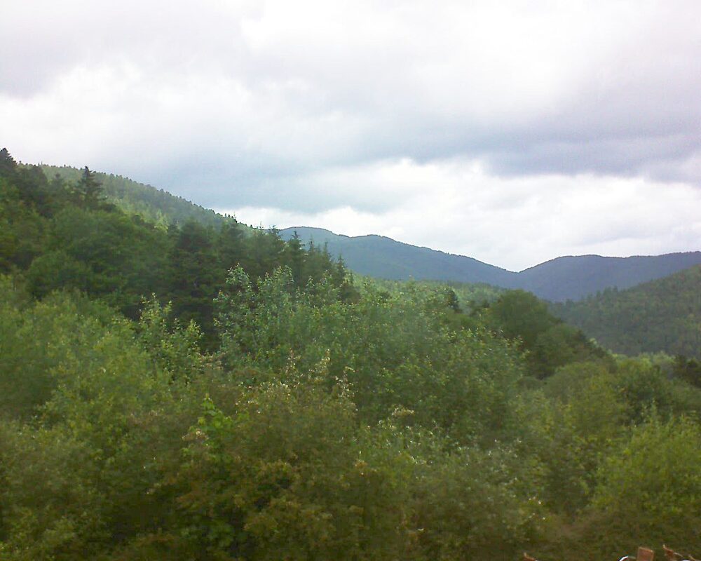Le petit ballon vu depuis le Domaine Langmatt à Murbach le 15.06.2024 à 12:45 Le petit ballon (Alsace, Vosges) le 15.06.2024 à 12:45