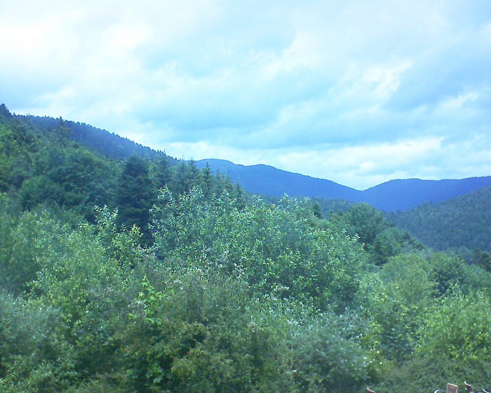 Le petit ballon vu depuis le Domaine Langmatt à Murbach le 15.06.2024 à 13:15 Le petit ballon (Alsace, Vosges) le 15.06.2024 à 13:15