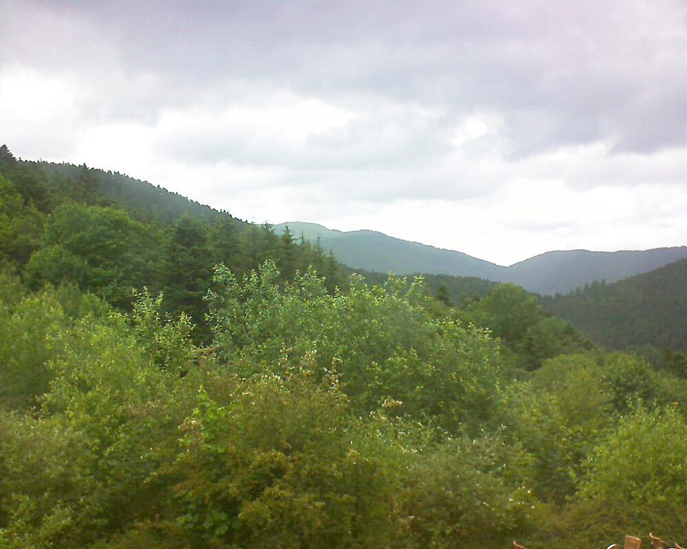 Le petit ballon vu depuis le Domaine Langmatt à Murbach le 15.06.2024 à 13:30 Le petit ballon (Alsace, Vosges) le 15.06.2024 à 13:30
