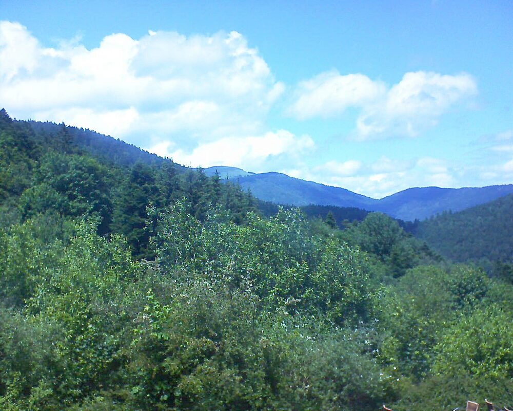 Le petit ballon vu depuis le Domaine Langmatt à Murbach le 15.06.2024 à 14:15 Le petit ballon (Alsace, Vosges) le 15.06.2024 à 14:15