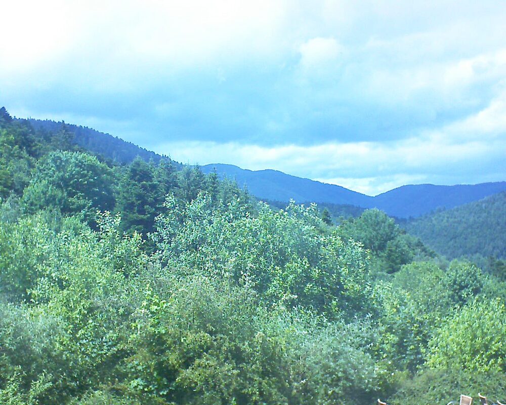 Le petit ballon vu depuis le Domaine Langmatt à Murbach le 15.06.2024 à 15:00 Le petit ballon (Alsace, Vosges) le 15.06.2024 à 15:00