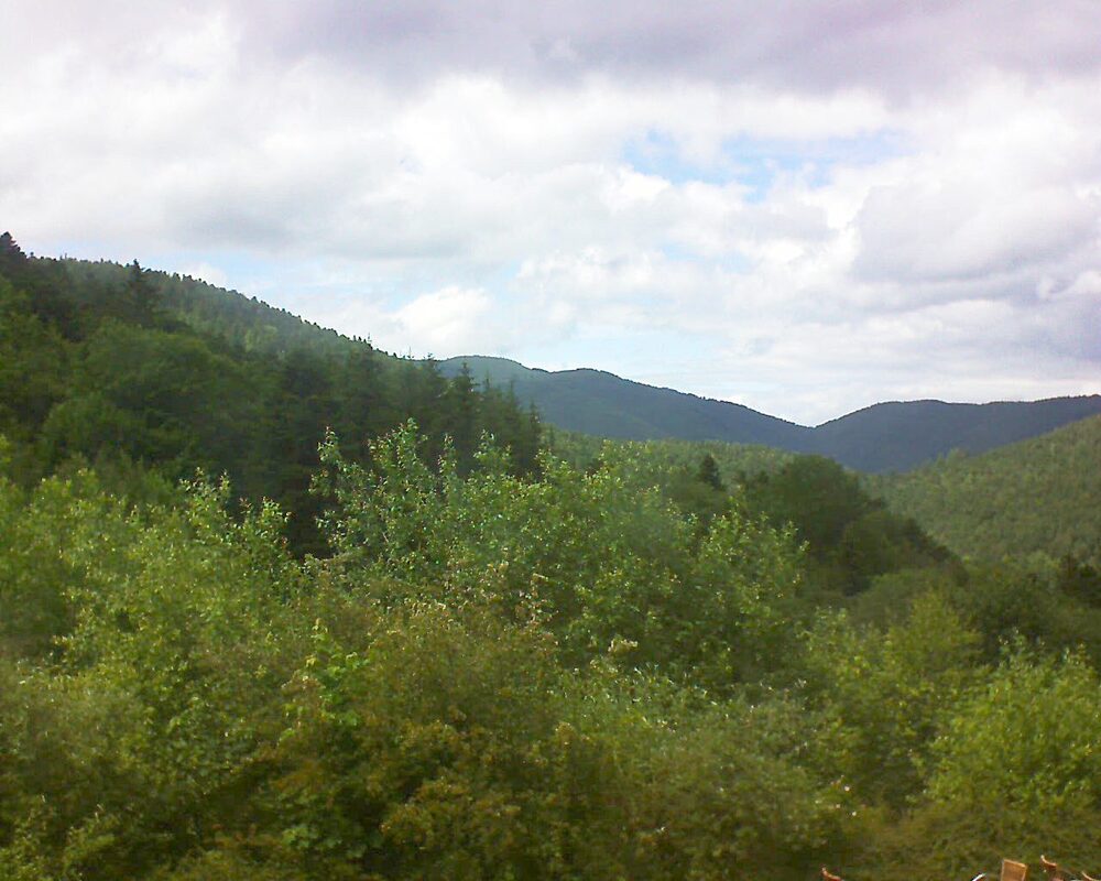 Le petit ballon vu depuis le Domaine Langmatt à Murbach le 15.06.2024 à 15:15 Le petit ballon (Alsace, Vosges) le 15.06.2024 à 15:15