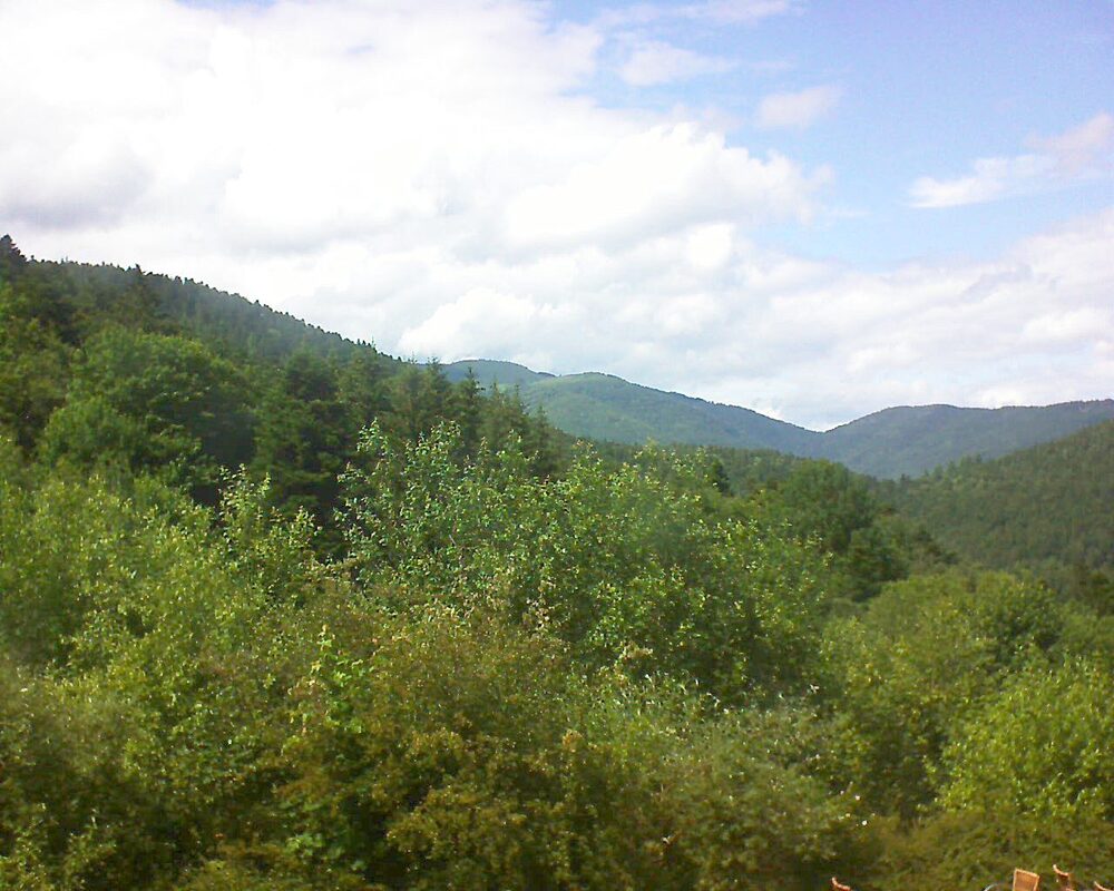 Le petit ballon vu depuis le Domaine Langmatt à Murbach le 15.06.2024 à 15:30 Le petit ballon (Alsace, Vosges) le 15.06.2024 à 15:30