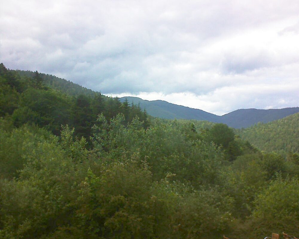 Le petit ballon vu depuis le Domaine Langmatt à Murbach le 15.06.2024 à 15:45 Le petit ballon (Alsace, Vosges) le 15.06.2024 à 15:45