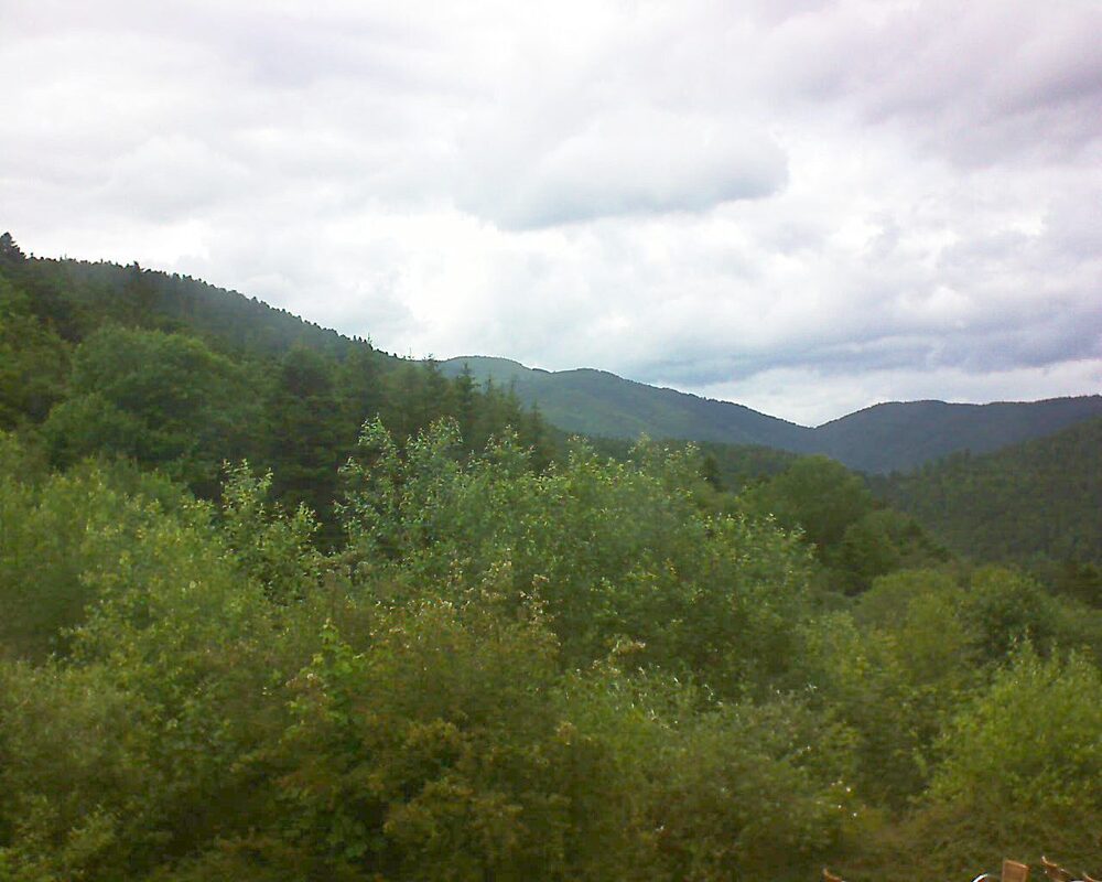 Le petit ballon vu depuis le Domaine Langmatt à Murbach le 15.06.2024 à 16:00 Le petit ballon (Alsace, Vosges) le 15.06.2024 à 16:00