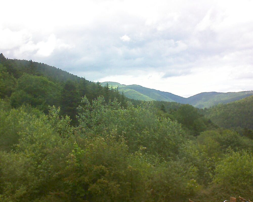 Le petit ballon (Alsace, Vosges) le 15.06.2024 à 16:15