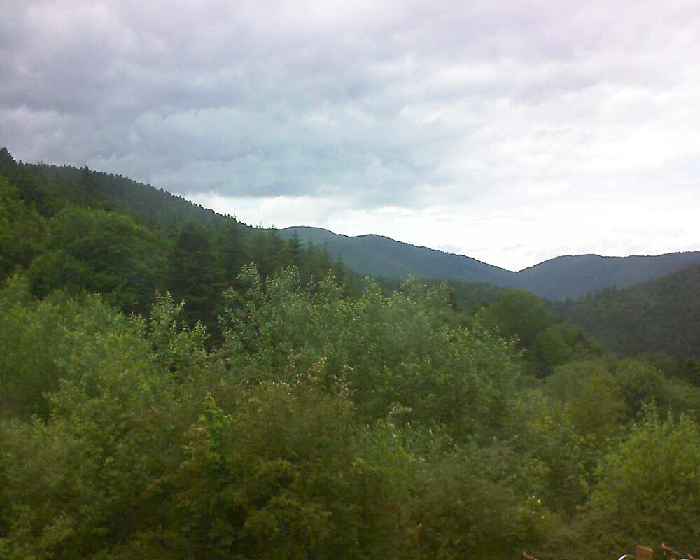 Le petit ballon vu depuis le Domaine Langmatt à Murbach le 15.06.2024 à 16:45 Le petit ballon (Alsace, Vosges) le 15.06.2024 à 16:45